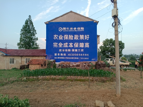 昭觉墙体广告为何受追捧？