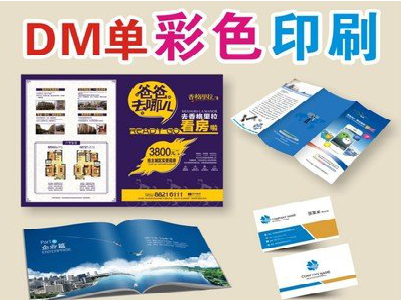 昭觉单页印刷，色彩搭配简单。